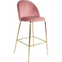 Sedero Barkruk Vidin Roze - Zithoogte 77 cm - Barstoel met rugleuning - Keukenstoel