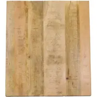 Giga Meubel Horeca Blad Mangohout 80x70x3cm