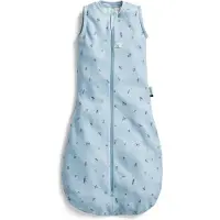 ErgoPouch Jersey Slaapzak- 0,2 Tog - Slaapzak Baby - Slaapzakken - Slaapzak - Slaapzak 80 cm - Slaapzak 3-12 md - Dragonflies