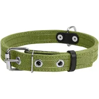 Waudog Canvas Halsband / Hondenhalsband - Katoen - Groen - Reflecterend - M - Breedte: 25 mm - Nekomtrek: 41 - 53 cm (GELIEVE ALVORENS BESTELLEN OPMETEN)