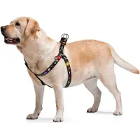 Waudog Nasa Harnas / Hondentuigje - Nylon - Gratis QR-tag - Breedte: 25 mm - Borstomtrek: 60 - 90 cm (GELIEVE ALVORENS BESTELLEN OPMETEN)