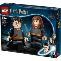 LEGO Harry Potter en Hermione Granger - 76393