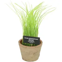 Esschert Design Kunstplant Bieslook H 27 Cm