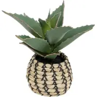 Atmosphera Kunstplant Samoerai 25x22x26cm - Groen/Beige