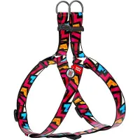 Waudog Graffiti Harnas / Hondentuigje - Nylon - Gratis QR Tag - Breedte: 25 mm - Borstomtrek: 60 - 90 cm (GELIEVE ALVORENS BESTELLEN OPMETEN)