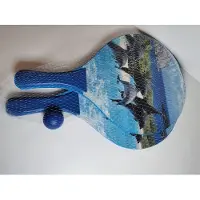 Gebro Toys Beachbalset dolfijn