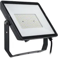 Philips ProjectLine schijnwerper - 100W - Warmwit licht