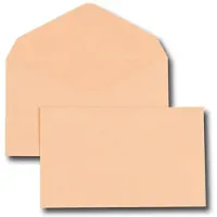 GPV France 2936 envelop Bruin 500 stuk(s)