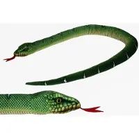 Merkloos Pluche knuffel dieren groene boom python slang van 150 cm - Knuffeldier