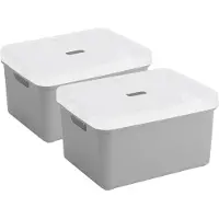 Sunware opbergbox - 2x stuks - 32 liter - lichtgrijs - kunststof - transparante deksel - 45x35x24 cm - Sigma serie