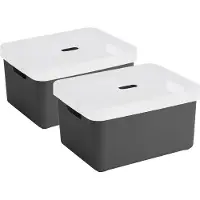 Sunware opbergbox - 2x stuks - 32 liter - antraciet - kunststof - transparante deksel - 45x35x24 cm - Sigma serie