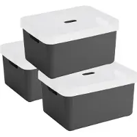 Sunware opbergbox - 3x stuks - 32 liter - antraciet - kunststof - transparante deksel - 45x35x24 cm - Sigma serie