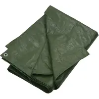 vidaXL Dekzeil 180 g/m² 3x3 m HDPE groen