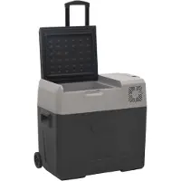 vidaXL Koelbox met wielen en adapter 30 L polypropeen zwart en grijs