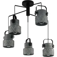 Eglo Hilcott, zwart, zink, grijs, staal, zwart, voor binnen, 5 lampen