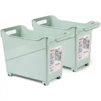 Forte Plastics Plasticforte opberg Trolley Container - 2x - mintgroen - L38 x B18 x H26 cm - kunststof - Opberg trolley