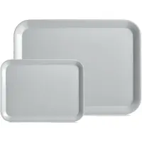 Zeller Dienblad - set 2x - grijs - kunststof - 24 x 18 cm en 44 x 32 cm - Dienbladen