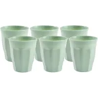 Forte Plastics Plasticforte onbreekbare Picardi drinkglazen - 6x stuks - kunststof - mintgroen - 250 ml - Drinkglazen