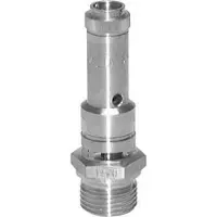 Tameson G 1/2'' RVS 316 Ti Vooringesteld Veiligheidsventiel 2,5 bar (36,26 psi) DN 8