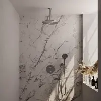 Brauer Brushed Carving thermostatische inbouw regendouche 3-weg rond SET 84 met 30 cm douchekop en plafondarm en 3-standen handdouche en doucheslang en wandaansluitbocht RVS geborsteld PVD