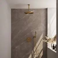 Brauer Gold Carving thermostatische inbouw regendouche 3-weg rond SET 78 met 30 cm douchekop en plafondarm en staaf handdouche en doucheslang en wandaansluitbocht goud geborsteld PVD