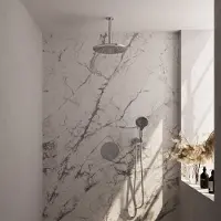 Brauer Chrome Carving thermostatische inbouw regendouche 3-weg rond SET 84 met 30 cm douchekop en plafondarm en 3-standen handdouche en doucheslang en wandaansluitbocht chroom