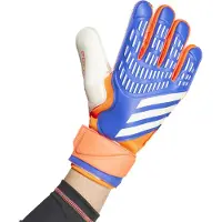 Adidas Predator Match Goalkeeper Gloves Veelkleurig 11