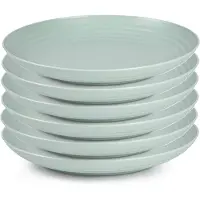 Forte Plastics Plasticforte Rond diner bord/camping bord - 6x - Dia 25 cm - mintgroen - kunststof - Dinerborden