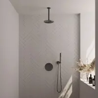 Brauer Gunmetal Edition thermostatische inbouw regendouche 3-weg rond SET 77 met 20 cm douchekop en plafondarm en staaf handdouche en doucheslang en wandaansluitbocht gunmetal geborsteld PVD