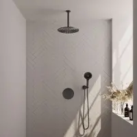Brauer Gunmetal Carving thermostatische inbouw regendouche 3-weg rond SET 84 met 30 cm douchekop en plafondarm en 3-standen handdouche en doucheslang en wandaansluitbocht gunmetal geborsteld PVD