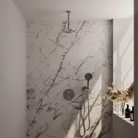 Brauer Brushed Carving thermostatische inbouw regendouche 3-weg rond SET 83 met 20 cm douchekop en plafondarm en 3-standen handdouche en doucheslang en wandaansluitbocht RVS geborsteld PVD