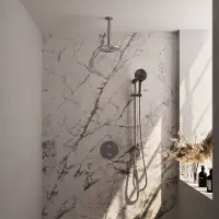 Brauer Brushed Carving thermostatische inbouw regendouche 3-weg rond SET 95 met 20 cm douchekop en plafondarm en 3-standen handdouche en doucheslang en geïntegreerde glijstang RVS geborsteld PVD