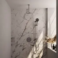 Brauer Brushed Edition thermostatische inbouw regendouche 3-weg rond SET 95 met 20 cm douchekop en plafondarm en 3-standen handdouche en doucheslang en geïntegreerde glijstang RVS geborsteld PVD