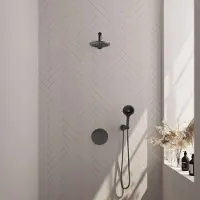 Brauer Gunmetal Carving thermostatische inbouw regendouche 3-weg rond SET 79 met 20 cm douchekop en rechte muurarm en 3-standen handdouche en doucheslang en wandaansluitbocht gunmetal geborsteld PVD