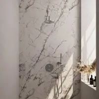 Brauer Brushed Carving thermostatische inbouw regendouche 3-weg rond SET 75 met 20 cm douchekop en gebogen muurarm en staaf handdouche en doucheslang en wandaansluitbocht RVS geborsteld PVD