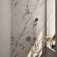 Brauer Brushed Carving thermostatische inbouw regendouche 3-weg rond SET 91 met 20 cm douchekop en rechte muurarm en 3-standen handdouche en doucheslang en geïntegreerde glijstang RVS geborsteld PVD