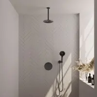 Brauer Edition Inbouw Regendoucheset 3-weg Rond - 20cm Hoofddouche - Plafondarm - 3 Standen Handdouche - Wandhouder - Geborsteld Gunmetal PVD - Kranen, Douchekranen, Douchesets, Inbouw douchesets