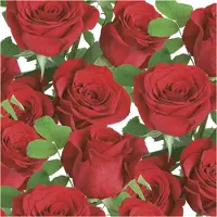 Daisy Maki lunch/diner servetten - 60x st - 33 x 33 cm - rode rozen - feestservetten