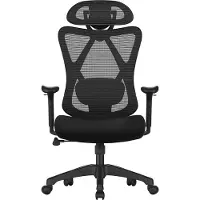 OEM Bureaustoel - Bureaustoelen - Ergonomische Bureaustoel - In Hoogte Verstelbaar - Zwart