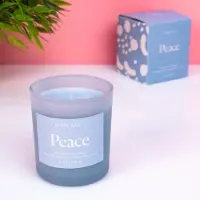 PADDYWAX Wellness Geurkaars - Peace (blauw) van