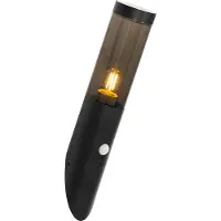 QAZQA Moderne buitenwandlamp zwart met bewegingsmelder IP44 - Rox