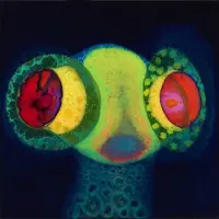 Konkurrent Osees - Sorcs 80 (LP)