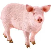 Schleich 17071 Varken Zeug