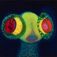 Konkurrent Osees - Sorcs 80 (CD)