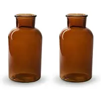 Merkloos 2x Stuks Bloemenvazen - mahonie bruin/transparant glas - H20 x D10 cm - Vazen