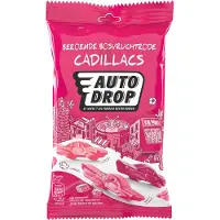 Autodrop - Snoep - Beroemde Bosvruchtrode Cadillacs - 16 zakjes - 85 gram