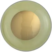 Ebb & Flow Horizon Plafond- / Wandlamp Ø: 29 cm | Shiny Gold | Olive E27 IP20