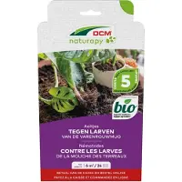DCM Natuurlijke Vijanden Aaltjes tegen larven van de varenrouwmug 6 m2/24 planten
