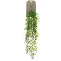 Driesprong Collection Zijdeplant Hangplant op steker Rhipsalis kunstplant