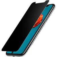 BigBen Interactive , Screenprotector geschikt voor iPhone X / XS / 11 Pro - Privacy Oleophobic, Transparant